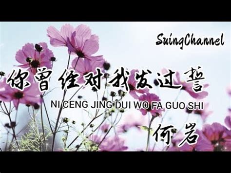 你曾经对我发过誓 何岩 当风吹过没你的城市 却吹来了那段往事 在我心里最动听又最痛的字 莫过于是你的名字 ni ceng