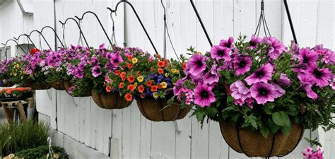 Hanging Flower Basket
