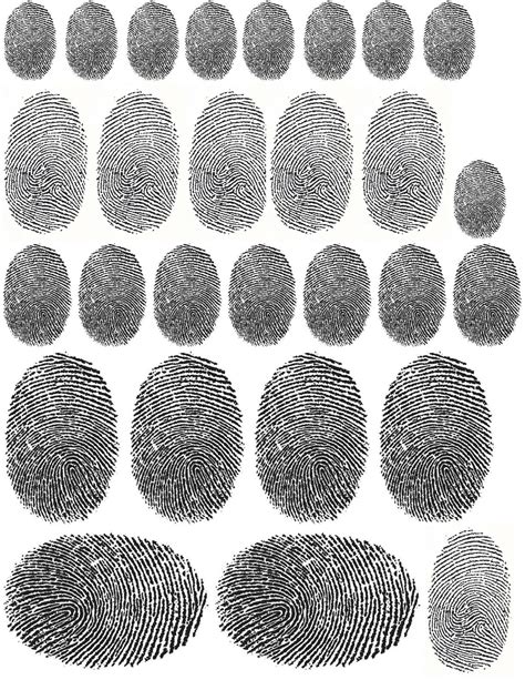 Fingerprint Patterns Worksheet