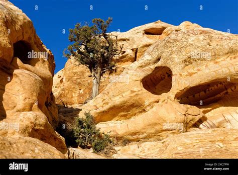 Smooth Eroded Ancient Caves Petra Jordan Stock Photo Alamy