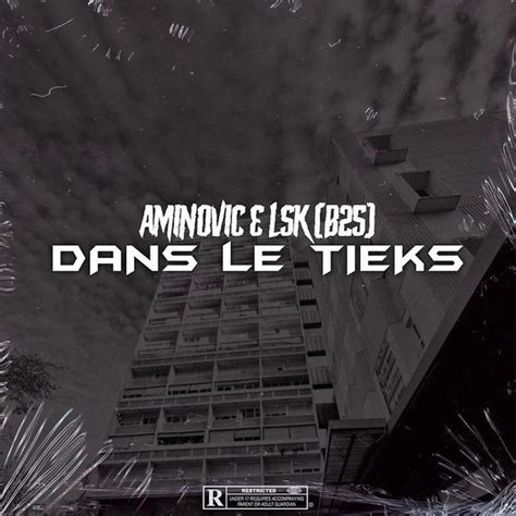 Dans Le Tieks Feat Aminoviic Single By Lsk B25 Spotify