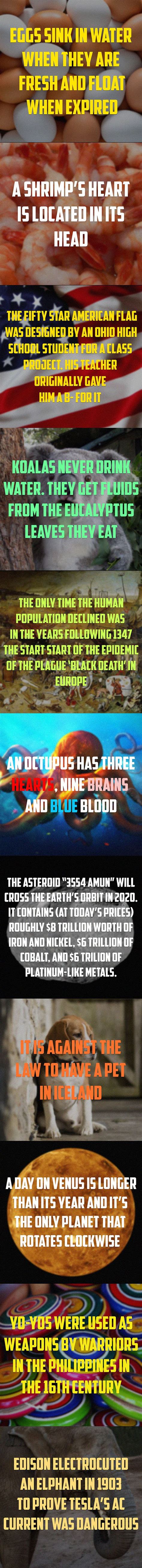 random facts awesome weird facts interesting information facts