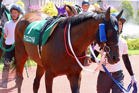 ジャンプレース応援隊 On Twitter 2022年7月30日 新潟8r 新潟ジャンプs 5枠7番 テイエムコンドルテイエムオペラオー