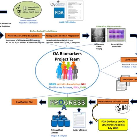 Stages Of Biomarkers Discovery And Development Different Stages Of