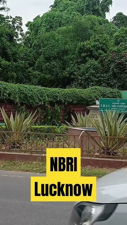 Nbri Lucknow Location Of National Botanical Research Institute Nbri