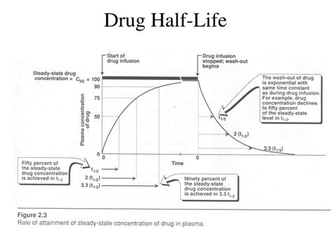 Ppt Pharmacokinetics Powerpoint Presentation Free Download Id6796838