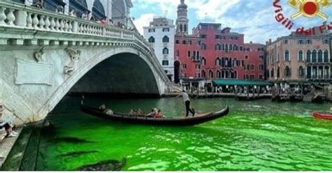 Venezia L Acqua Del Canal Grande Diventa Verde Fosforescente Cosa