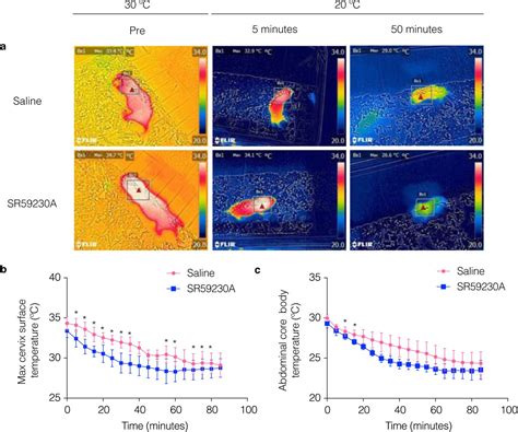 Characterization Of Brown Adipose Tissue Thermogenesis In The Naked