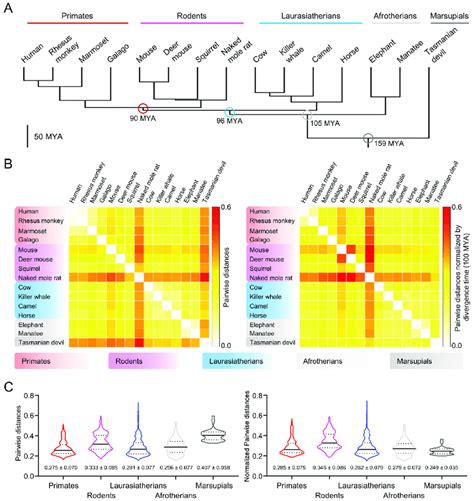 Amino Acid Sequence Comparison Of Mammalian Catsper Orthologs Shows