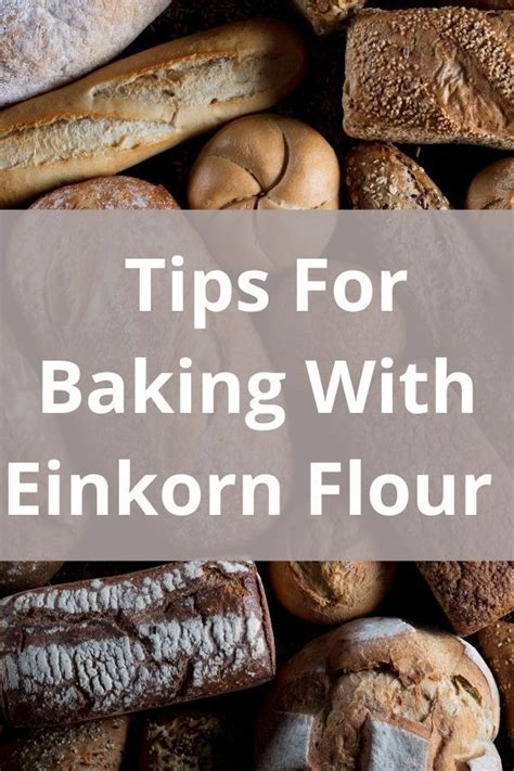 Recipes With Einkorn Flour Artofit