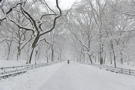 Central Park in the Snow after Snowstorm, New York City Stock Photo ...