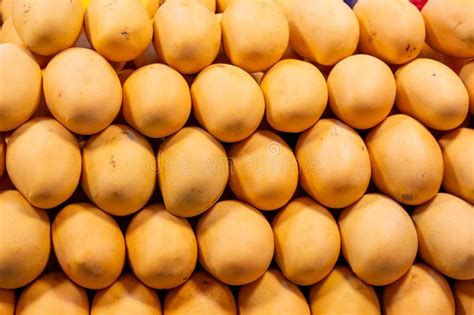 Ripe Yellow Mangoes Lie In Rows On A Store Counter In Asia Thai Market