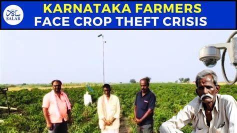 Karnataka Farmers Grapple With Drought Rising Costs And Crop Thefts Cctvcamera Fail Farmer