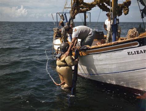 Florida Memory Sponge Diver Entering The Water Near Tarpon Springs