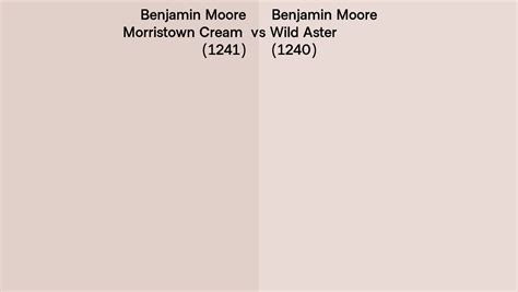 Benjamin Moore Morristown Cream Vs Wild Aster Side By Side Comparison