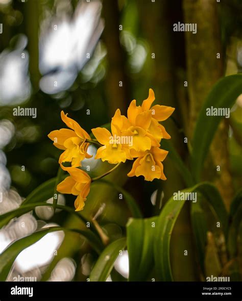 Fairchild Tropical Botanic Garden In Miami Florida Best Collection