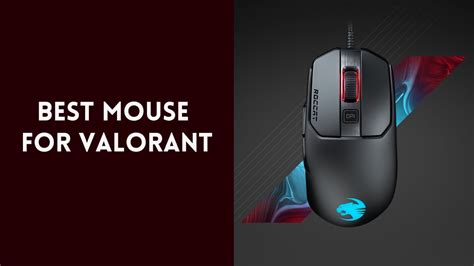 Best Mouse For Valorant - For All Types Of Grips