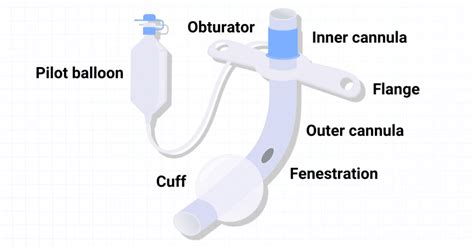 Tracheostomy Overview And Practice Questions