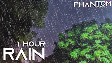 Thunderstorm And Rain Sounds │ Audio Mix For Relaxation Meditation