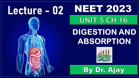 Digestive Glands And Their Functions Ncert Class Neet