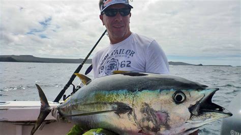 Galápagos Fishing With Galeodan