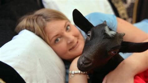 Motherless Goat Gets New Human Mum Nz Herald