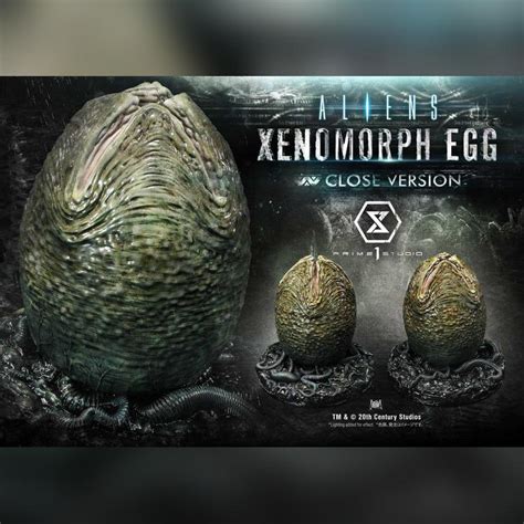 Alien Egg