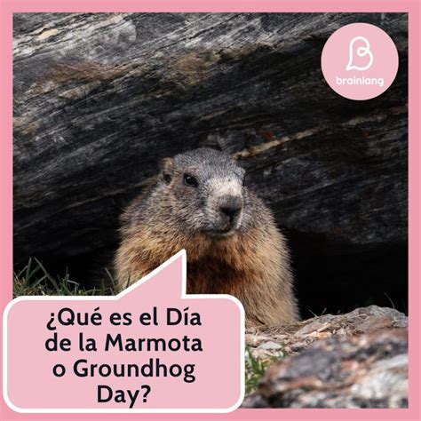 Qué es el Día de la Marmota o Groundhog Day