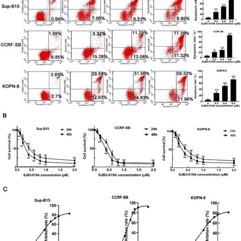 Pdf Inhibition Of Usp1 Induces Apoptosis Via Id1akt Pathway In B Cell Acute Lymphoblastic