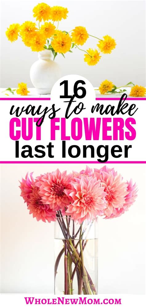 How To Make Flowers Last Longer Plus The Best Method Of All