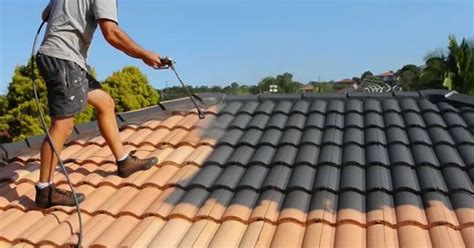 Frequently Asked Questions About Roof Painting