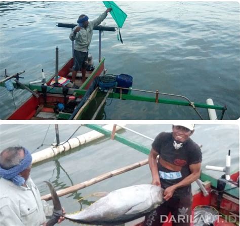 Pemanfaatan Sumber Daya Alam Di Teluk Tomini Harus Sesuai Prinsip