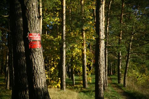 No Trespassing On The Bank Of Bug River Masovia Krzysztof Kujda