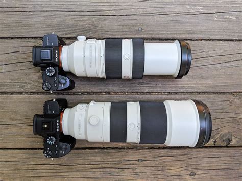 Sony 100-400 Extended vs 200-600 Lens – Colby Brown Photography