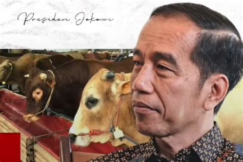 Berapa Umur Jokowi Sekarang Simak Profil Dan Biodata Presiden