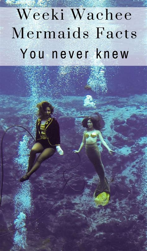 21 Weeki Wachee Mermaids Facts You Never Knew Our Roaming Hearts