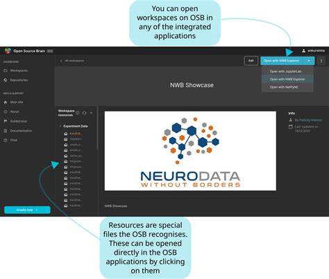 Workspaces — Open Source Brain Documentation