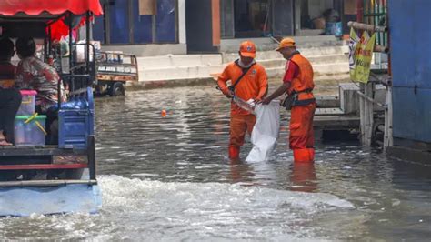 BPBD Peringatan Dini 10 Wilayah Di Pesisir Jakarta Waspada Banjir Rob