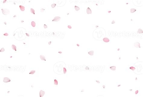 Pink Sakura Petals 10898628 Png