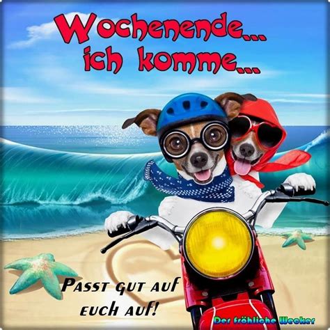 ᐅ Hallo Wochenende Bilder Lustig GB Pics GBPicsBilder Funny