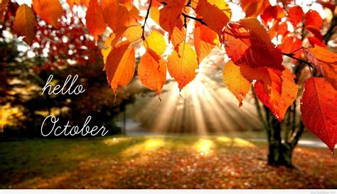 October HD Wallpapers - Top Free October HD Backgrounds - WallpaperAccess