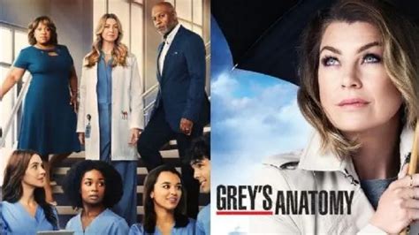 ABC confirma que Grey s Anatomy tendrá una nueva temporada