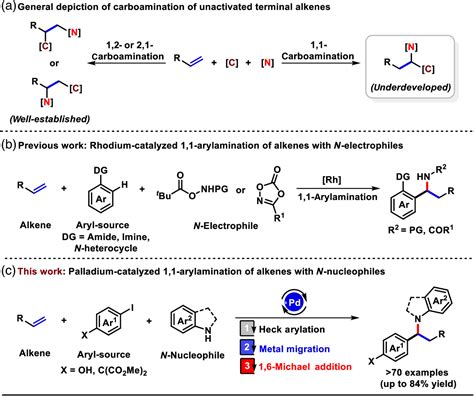 Site Selective Palladium Catalyzed Arylamination Of Terminal