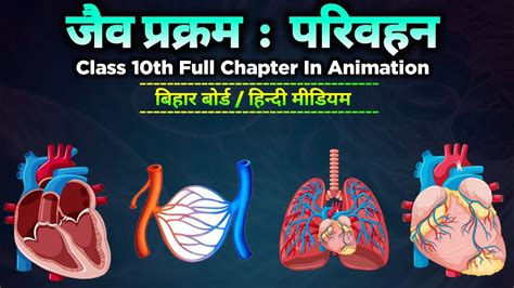 जैव प्रक्रम परिवहन Class 10 Full Chapter Animation Class 10 Biology Chapter 3 Bseb