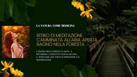 La Natura Come Medicina Ritiro Di Meditazione E Bagno Nella Foresta Al