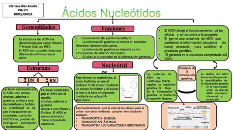 30 Mapa Conceptual De Adn Png Nietma Images And Photos Finder Porn