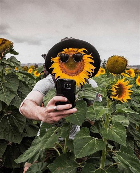 Sunflower Selfie Myconfinedspace