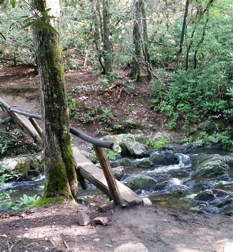 Images Gratuites arbre ruisseau région sauvage Piste rivière