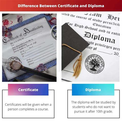 Certificate Vs Diploma Difference And Comparison