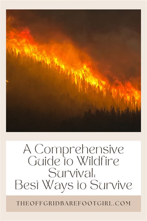 A Comprehensive Guide To Wildfire Survival Best Ways To Survive Artofit